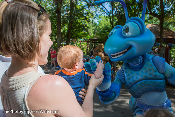 First Disney Trip-220