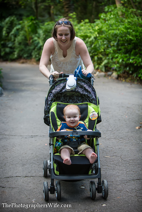 First Disney Trip-237