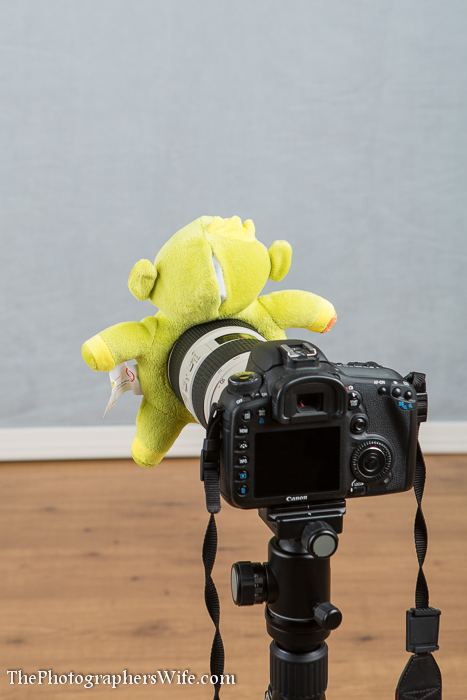 Chimpancheez-5