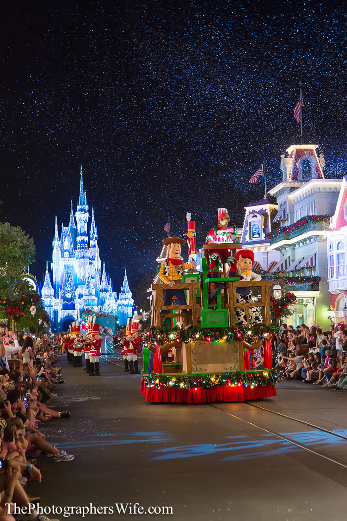 2013 Mickey's Very Merry Christmas Party-34