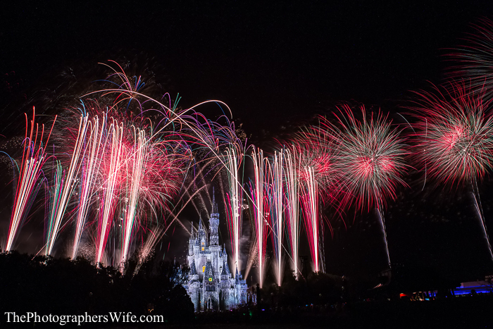 2013 Mickey's Very Merry Christmas Party-46