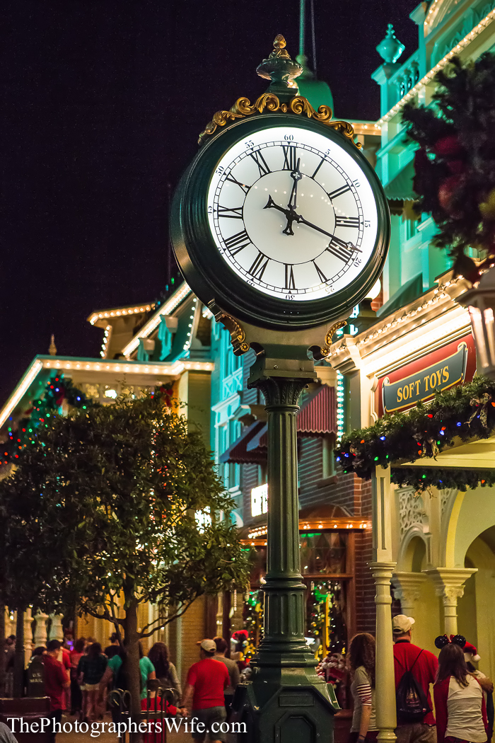 2013 Mickey's Very Merry Christmas Party-62