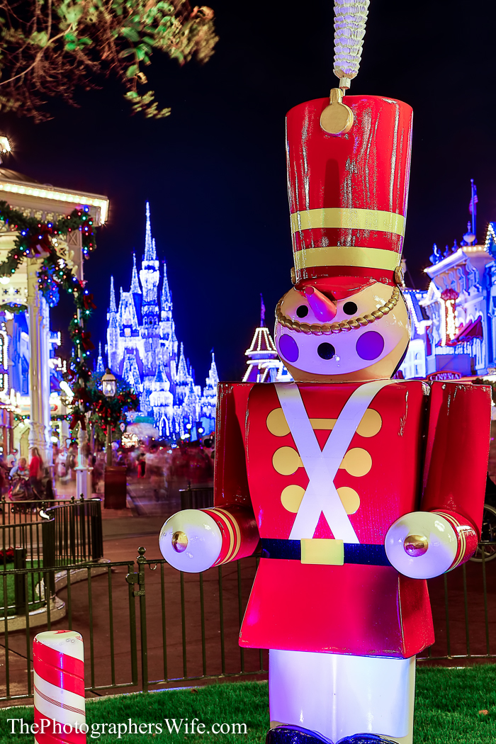 2013 Mickey's Very Merry Christmas Party-63