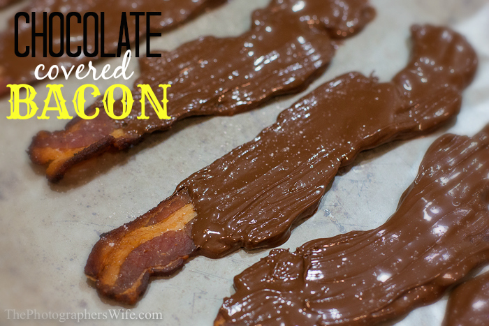 Chocolate Covered Bacon