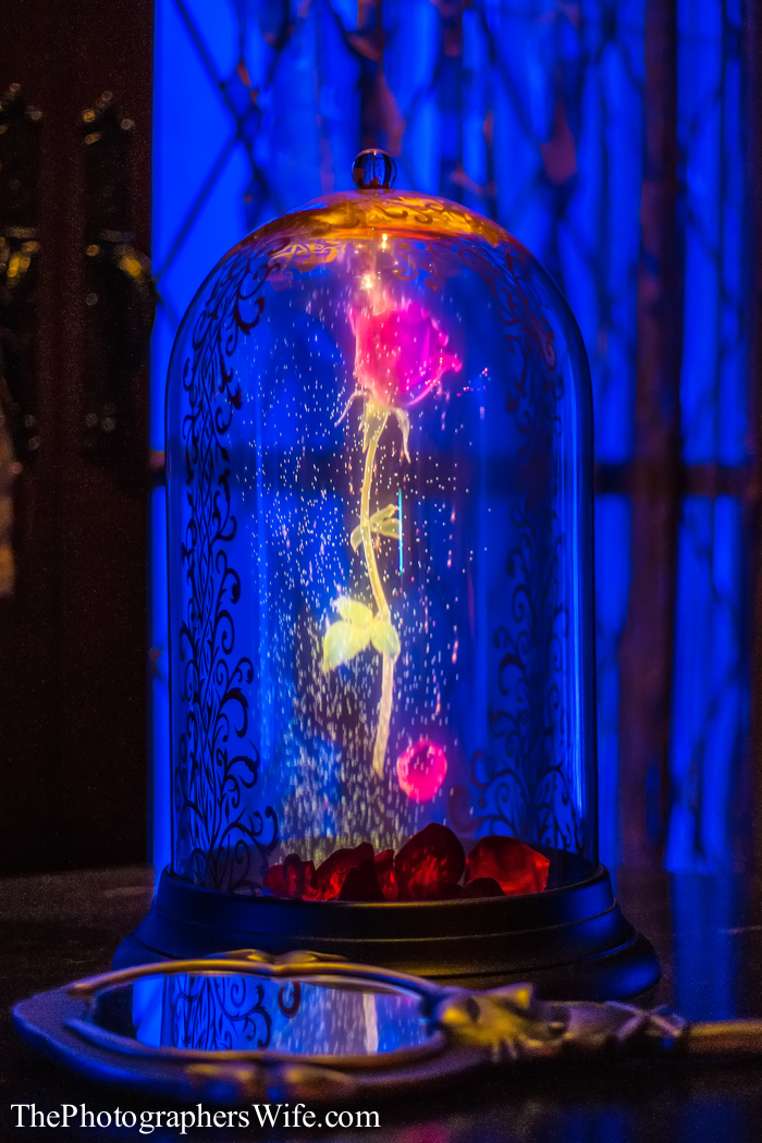 Be Our Guest-10