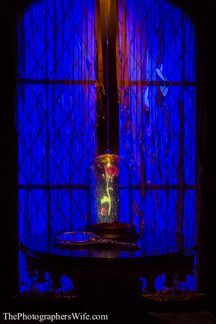 Be Our Guest-16