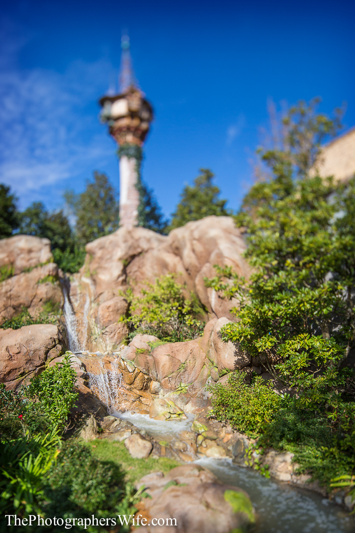 January Disney Trip-128