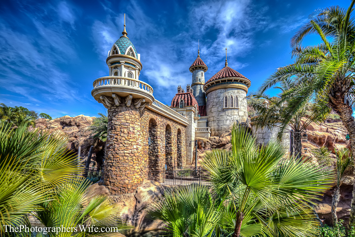 January Disney Trip-150