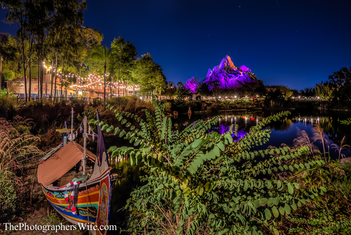January Disney Trip-176