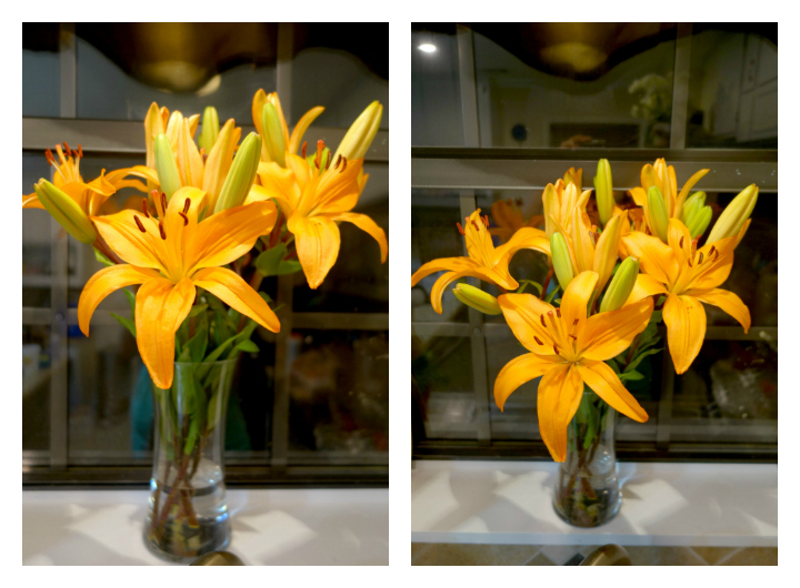 Bouqs Collage
