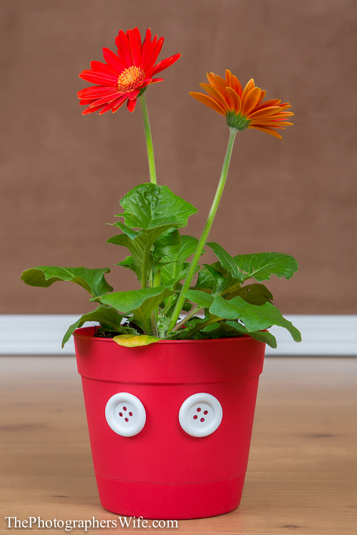 Mickey Flower Pot-3