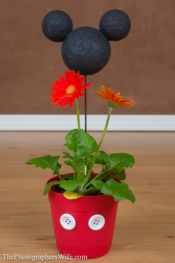 Mickey Flower Pot-7