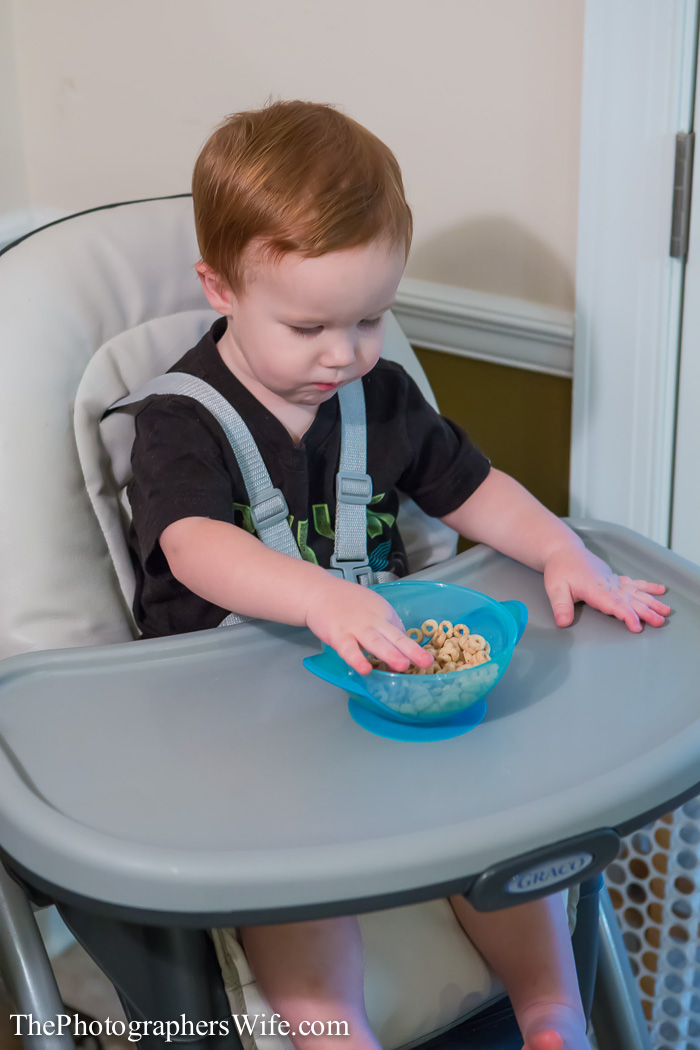 Nuby bowl-4