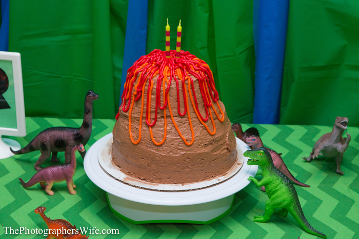 Dinosaur Party-10