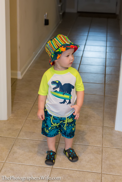 Dinosaur Party-13