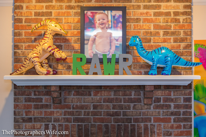 Dinosaur Party-2
