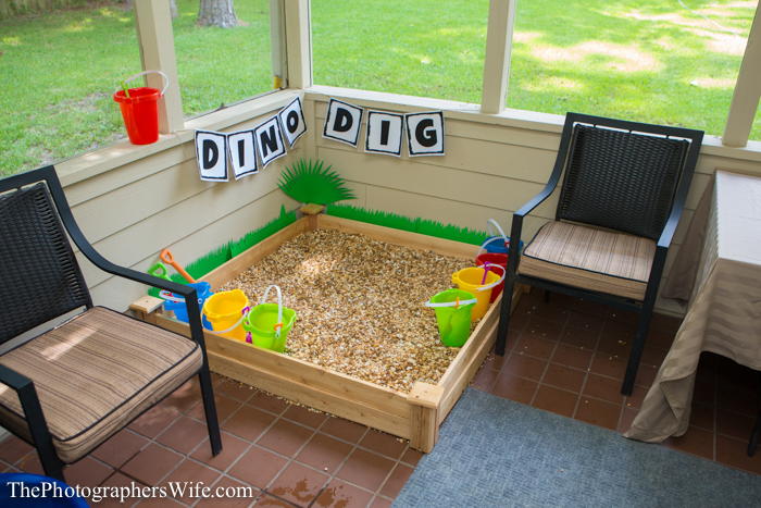 Dinosaur Party-5