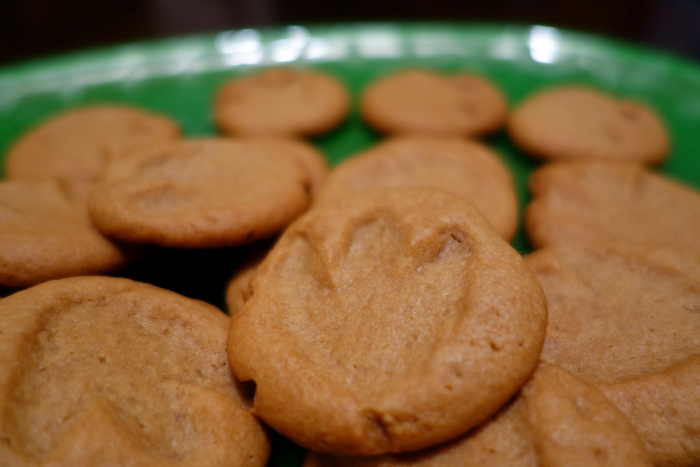Dinosaur party fossil cookie