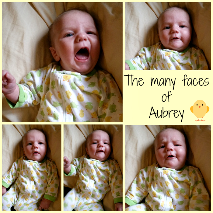Aubrey Collage