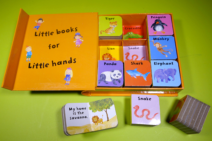 Usborne Books Review 5
