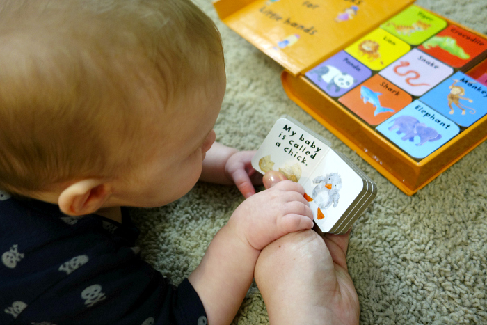 Usborne Books Review 9